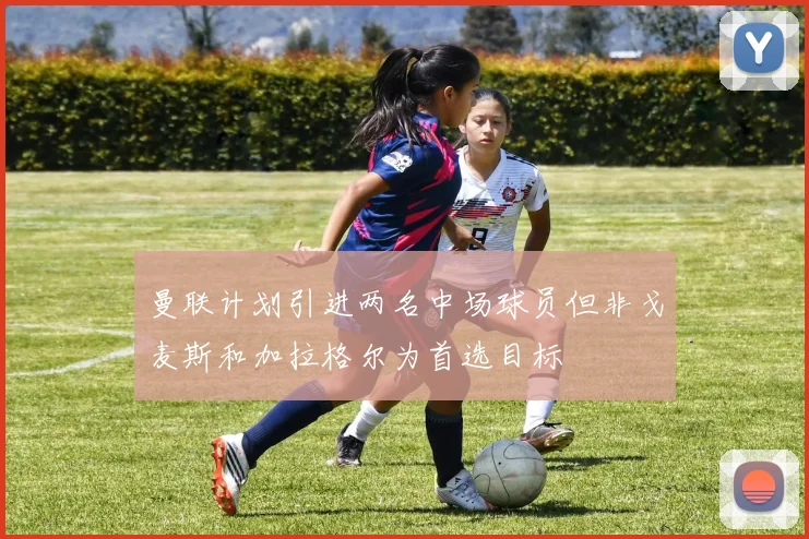 曼联计划引进两名中场球员但非戈麦斯和加拉格尔为首选目标