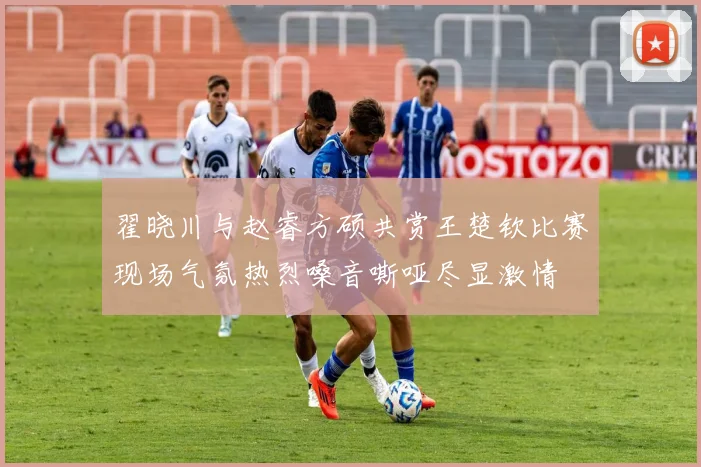 翟晓川与赵睿方硕共赏王楚钦比赛现场气氛热烈嗓音嘶哑尽显激情